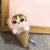 Cute Animal Plush Stuffed Toy #12337079746878 - Image 6