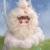 Soft Plush Doll Toy Stuffed Animal Gift (411) - Image 8