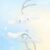SANRI0 Character Healing Space Series Figure #12512245219646 - Image 8