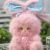 Liila 600%-V2 Tea Time With My Girl Series Plush Blind Box - Image 11