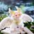 DUMIA Morino Star V2 Series Plush Pendant Blind Box - Image 6