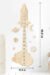 Personalized Wooden Rocket Growth Chart - Image 4