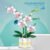 Romantic Orchid Flowers Bouquet Building Blocks – Bonsai Style DIY Plan... #29 - Image 4