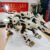 ZOIDS RZ-041 White Liger ZERO Building Blocks Model Kit – Unleash th... #44655 - Image 4