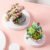 Mini Plant Bonsai Building Blocks – Cherry Blossom Tree & Potted Bouqu... #193 - Image 3