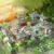Suzhou Garden 3-in-1 Ancient Style Architecture – Advanced Building Bl... #193 - Image 5