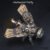 Mechanical Insect Iron Metal DIY 3D Puzzle – A Futuristic Take on Natu... #193 - Image 7