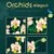 Romantic Orchid Flowers Bouquet Building Blocks – Bonsai Style DIY Plan... #29 - Image 6