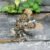 Mechanical Insect Iron Metal DIY 3D Puzzle – A Futuristic Take on Natu... #193 - Image 5