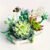 Mini Plant Bonsai Building Blocks – Cherry Blossom Tree & Potted Bouqu... #193 - Image 5