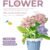 Building block flower simulation bouquet small particle assembly puzzle toy children's handmade DIY potted tabletop ornament - Image 2