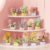 DIY Potted Plants Building Blocks Set – Everlasting Flower & Succulents... #29