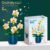 Romantic Orchid Flowers Bouquet Building Blocks – Bonsai Style DIY Plan... #29