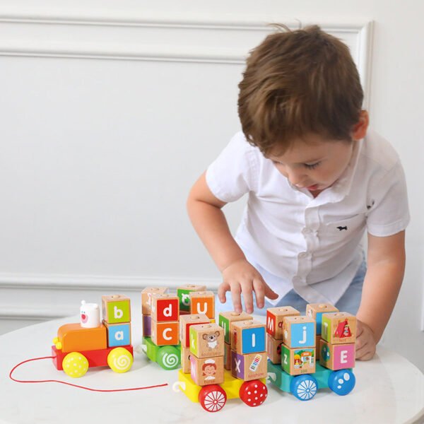 Educational Wooden Puzzle Toy #55956