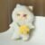 Soft Plush Doll Toy Stuffed Animal Gift (776) - Image 4
