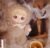 Soft Plush Doll Toy Stuffed Animal Gift (676) - Image 14