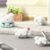 ZOGGY Cute Dog Series Mini Beans #12419336143166 - Image 6