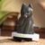 Robocat QueSera Series Figure Blind Box #12333177504062 - Image 8