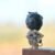 Hirono Kite Beijing Swift Figurine, Limited #11715732734270 - Image 3