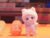 Soft Plush Doll Toy Stuffed Animal Gift (764)