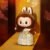 POP MART Labubu Figure (28)