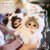 Cute Animal Plush Stuffed Toy #11951359754558