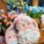 Cute Animal Plush Stuffed Toy #11969974894910