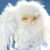 Cute Animal Plush Stuffed Toy #12238705852734