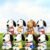 Soft Plush Doll Toy Gift #12375718068542