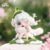 Zoraa Dawn Spring Series Figure #12377664880958