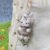 Soft Plush Doll Toy Gift #12485409997118
