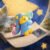 Winnie the Pooh Blind Box (1)